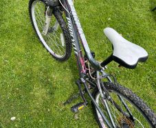 Procycle Venus 24 Bicycle