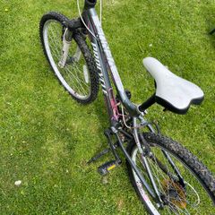 Procycle Venus 24 Bicycle