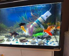 Fish tank