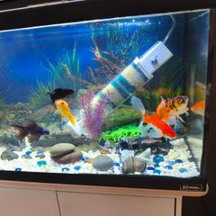 Fish tank