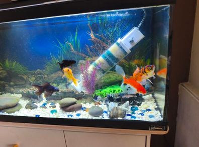 Fish tank