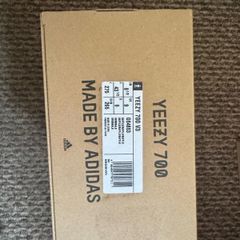 Yeezy 700v3 Safflower