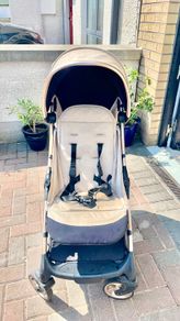 Egg Z Stroller Feather