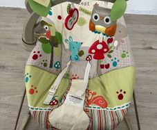 baby bouncer seat