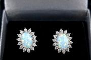 Stunning pair of White Opal Stud Earrings