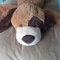 Big Dog Teddy