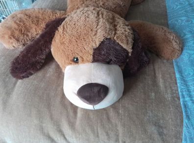 Big Dog Teddy