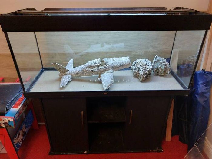 Juwel 240L fish tank