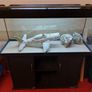 Juwel 240L fish tank Image 3