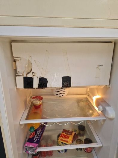 Smeg Fridge