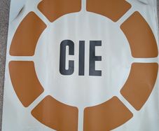 Large original 1970s CIE decal for rolling stock and locomotives.