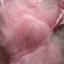 Beautiful pink tulle princess bed canopy. Image 3