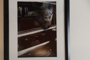 Picture frames