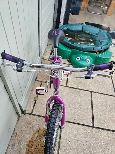 Kids bike raleigh