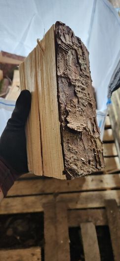 Season Firewood - Spruce/Larch - Softwood