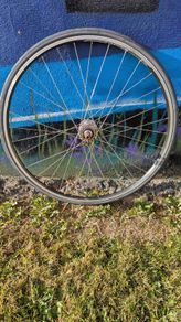 Fixie rear wheel, Fixed gear, single speed.