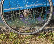 Fixie rear wheel, Fixed gear, single speed.