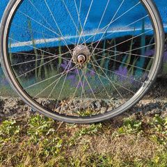 Fixie rear wheel, Fixed gear, single speed.