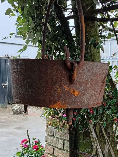 Cast Iron Pot