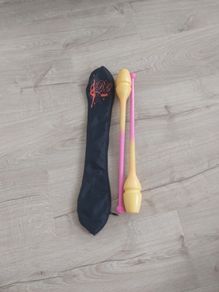 rhythmic gymnastics clubs+case