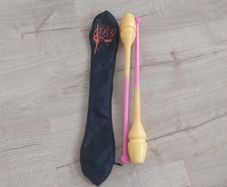 rhythmic gymnastics clubs+case