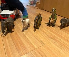 animals and dinosaurs figures