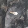 Navy sheared mink coat Image 3