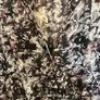 Label lab print dress 14 Image 3