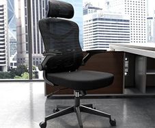 Ergonomic Office Chair Computer Chair with Adjustable Headrest/Lumbar Support, High Back 3D Armrests Home Mesh Chair (Black)
