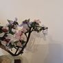 Bonsai Image 5