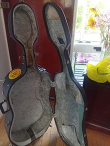 Cello case