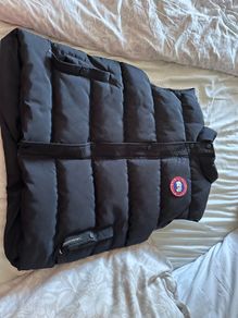 canada goose