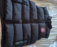 canada goose