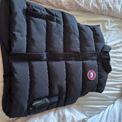 canada goose