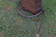 Antique Flox 10 Copper Birchmeier Sprayer