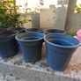 20x small plastic plant pot Image 2