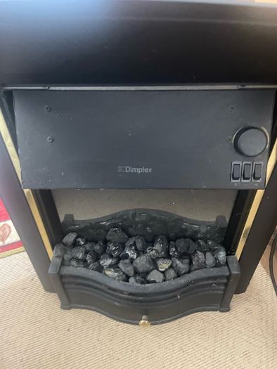 Electric Fire