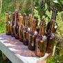 Antique Cork Bottles x16 Image 3