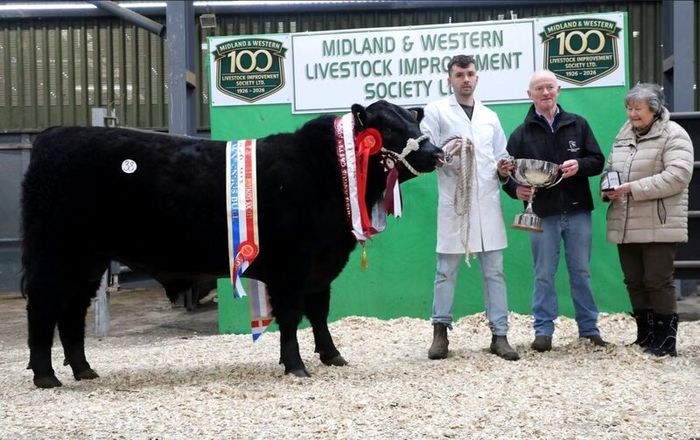 Carrick-on-Shannon Autumn Mixed Breed Show & Sale