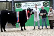 Carrick-on-Shannon Autumn Mixed Breed Show &amp; Sale