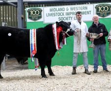 Carrick-on-Shannon Autumn Mixed Breed Show & Sale