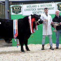Carrick-on-Shannon Autumn Mixed Breed Show & Sale