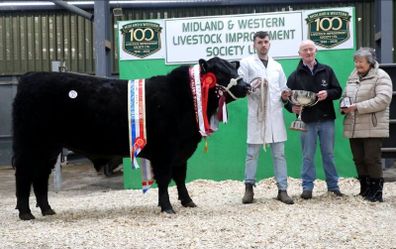 Carrick-on-Shannon Autumn Mixed Breed Show & Sale