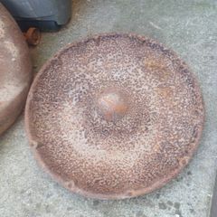 mexico hat pig trough