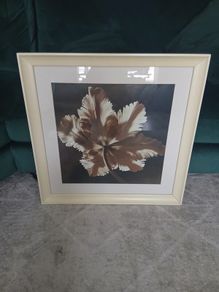 pictures frames