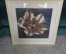 pictures frames