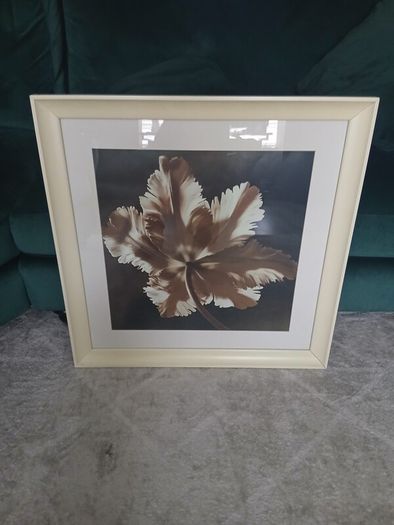 pictures frames