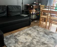 rug new grey puff