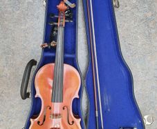 Violin