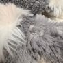 Build a Bear Workshop 2011 Gray Koala approx. 40 cm. NOT Working Used Please see photos Image 9